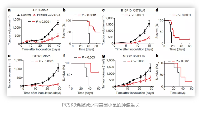 Nature重磅：这个调节胆固醇代谢的基因，或成增强癌症免疫疗法的“新星”