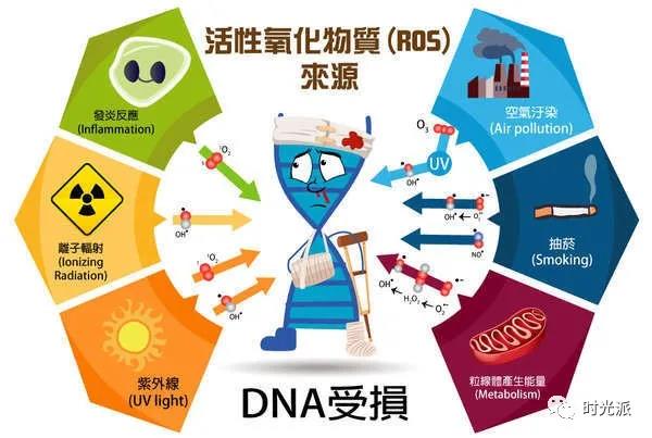 疯狂拉扯你皮肤老化进度条的“三兄弟”—氧化、炎症、糖化