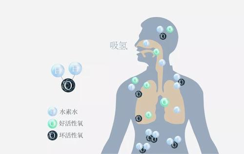 氢气人体安全性是不是很诡异？