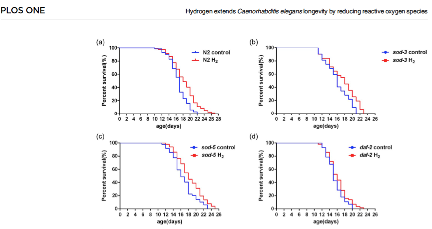 氢气长寿效应的线虫研究［新］